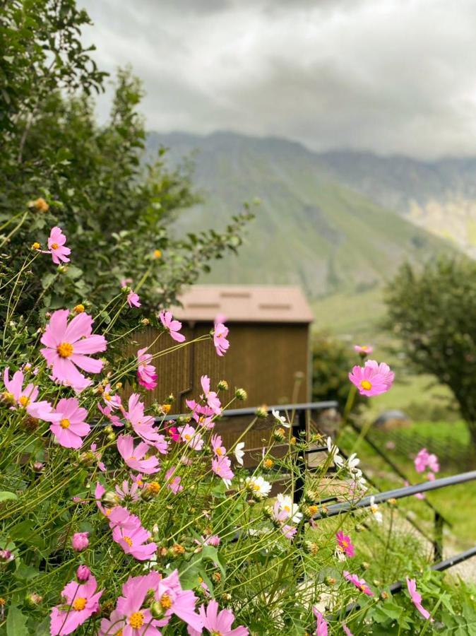 דירות My Space Kazbegi מראה חיצוני תמונה